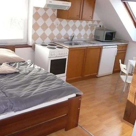 Apartments U Cara 체스케부데요비체 객실 사진
