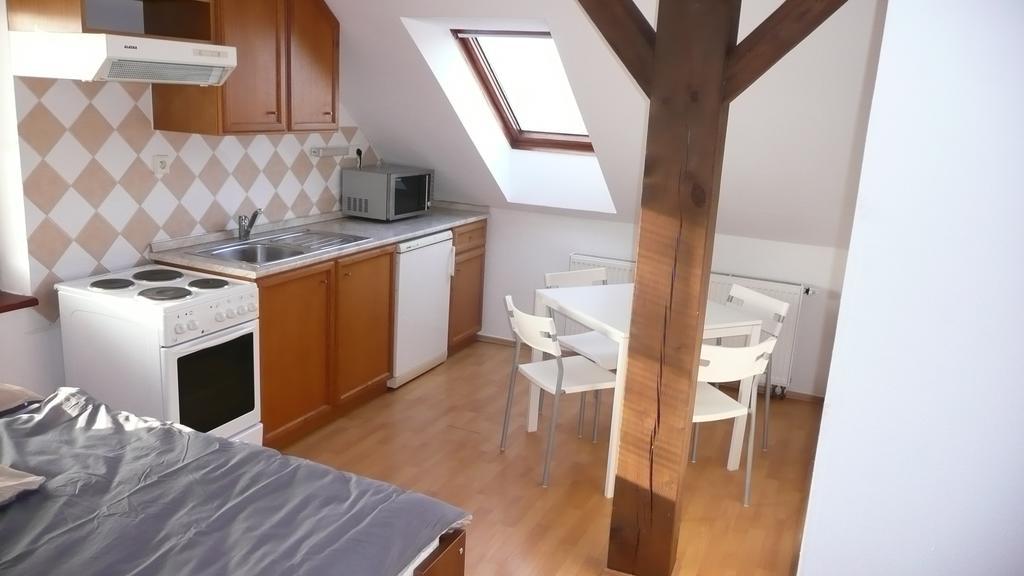 Apartments U Cara 체스케부데요비체 객실 사진