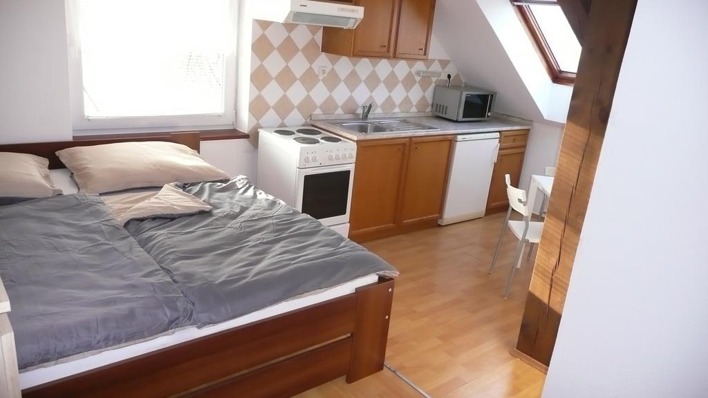 Apartments U Cara 체스케부데요비체 객실 사진
